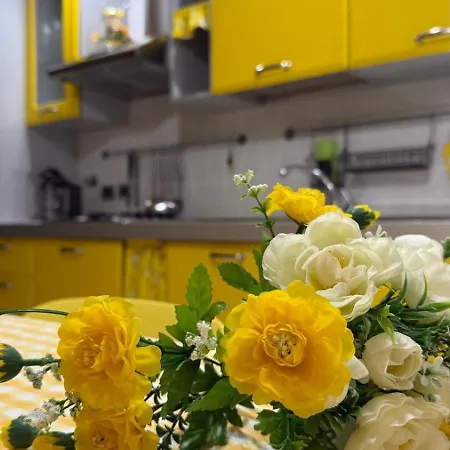 Sea Colors Apartament *