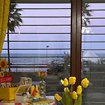 Apartment Sea Colors *