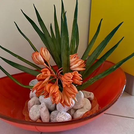 Apartman Sea Colors *